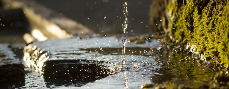 water trickles down a mossy step