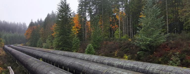 A pipeline runs beside a forest on Vancouver Island, Canada