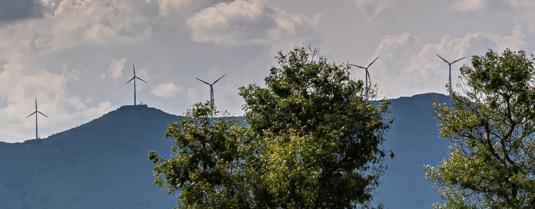 A rural landscape in India with wind turbines in the distance.