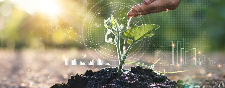 Person watering young sprout with graph overlay