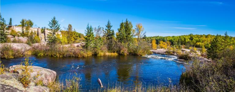 small pond framed by greenery and blue sky