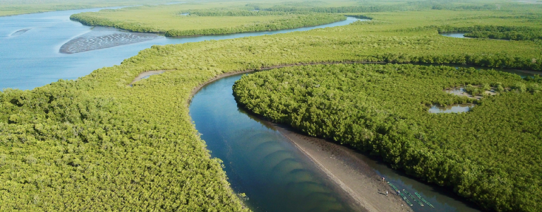 Aerial view of Senegal's Saloum Delta