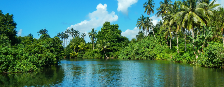 River in Fiji's Taveuni Island