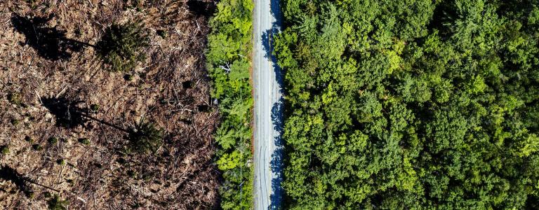 Aerial view of a clear cut area bordering a rural highway.