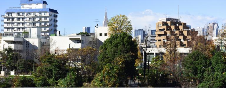 Rooftop solar panels with Japanese city skyline in the background.