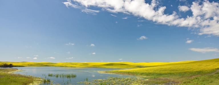 Prairie landscape and sky