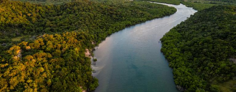 Aerial photo over a river flowing through a forested area in Brazil 