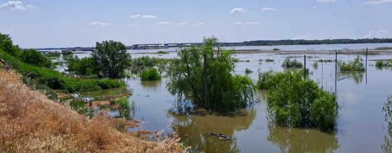 Flooded landscape under a blue sky