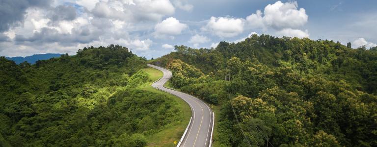 Road running through a forest in Thailand