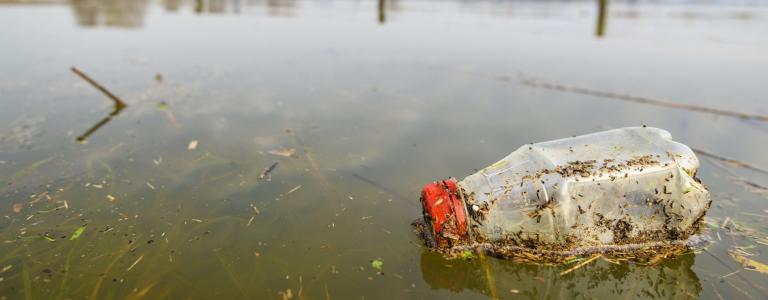 a plastic bottle floats on top of water