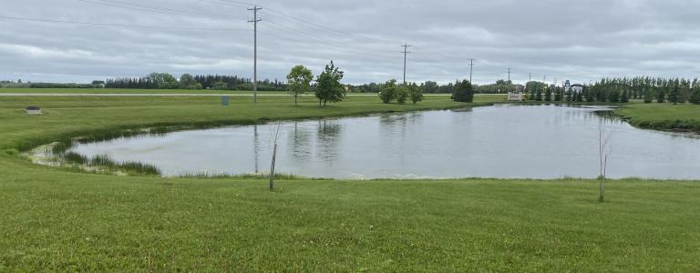 A view of the pond outside the RM Springfield office