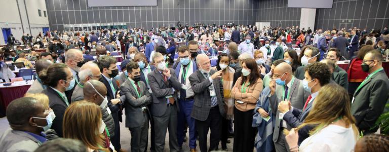 Delegates huddle at CBD COP 15