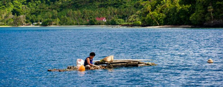 Woman farming oysters on a boat in Fiji