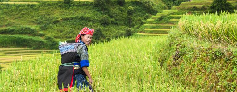 A woman farmer standing in a field in rural Vietnam.