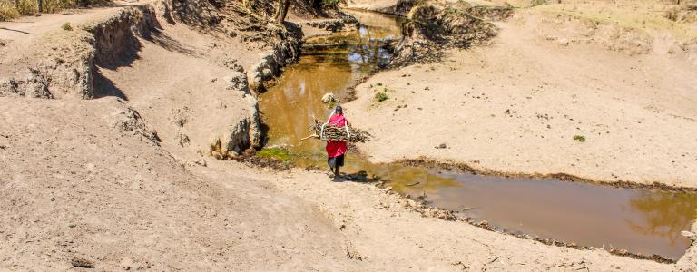 Maasai person carrying wood on their back by a river