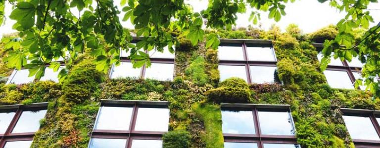 green-building-paris.jpg