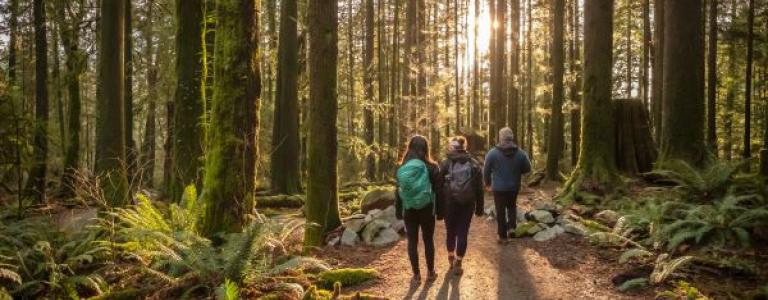 Family-Forest-Walk-Building-Back-Better.jpg