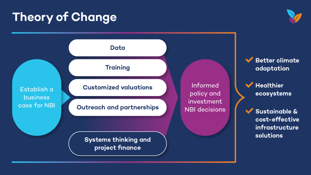 theory of change