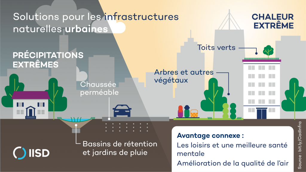 Solutions d'infrastructure naturelle urbaine