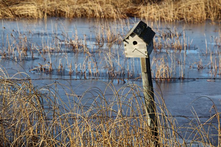 Bird house inside a river