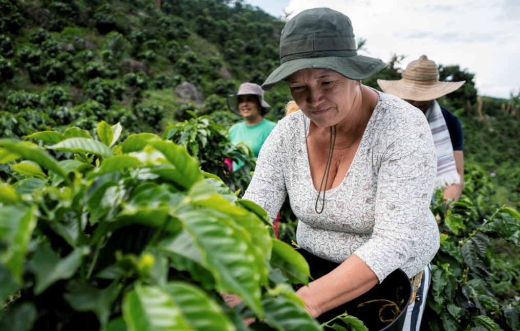 colombia-coffee.png