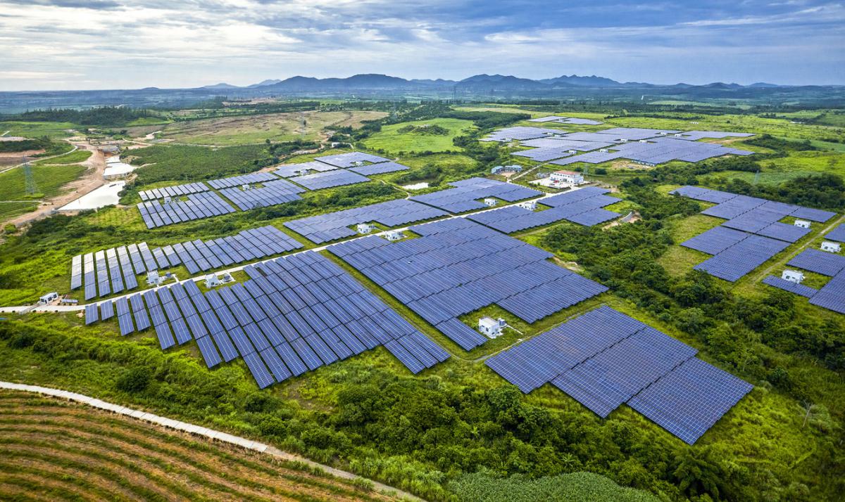 A field of solar panels in daylight for a story about trade codes and how they can benefit the environment