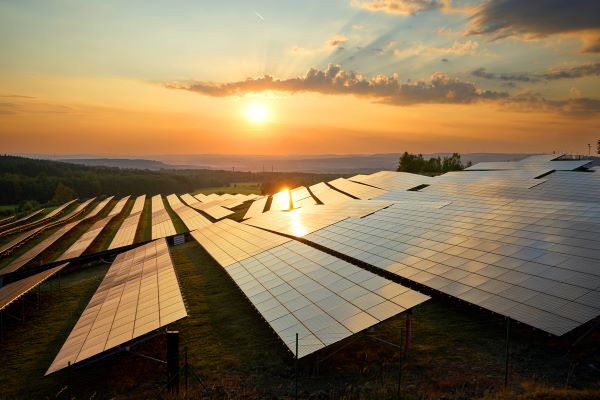 Solar panels in a field at sunset