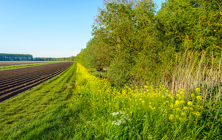 Biodiversity loss