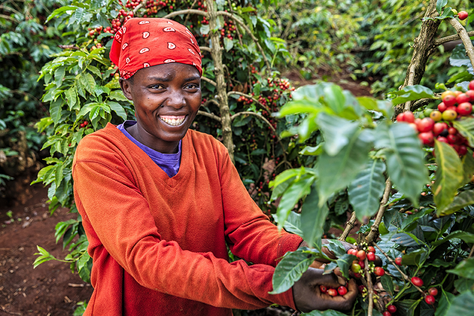 Coffee farmer