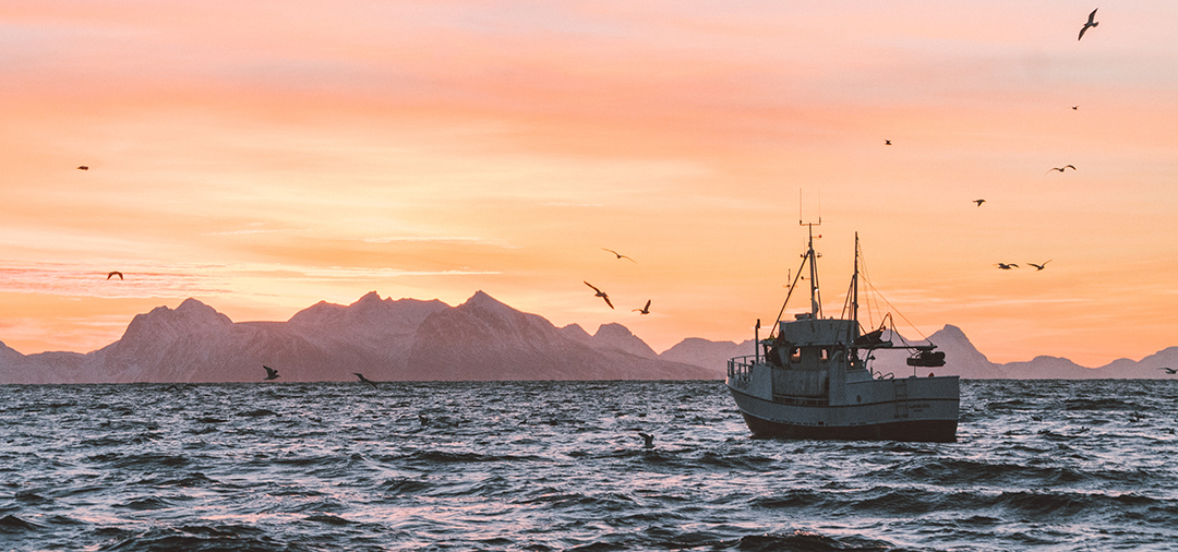 Fishing boat