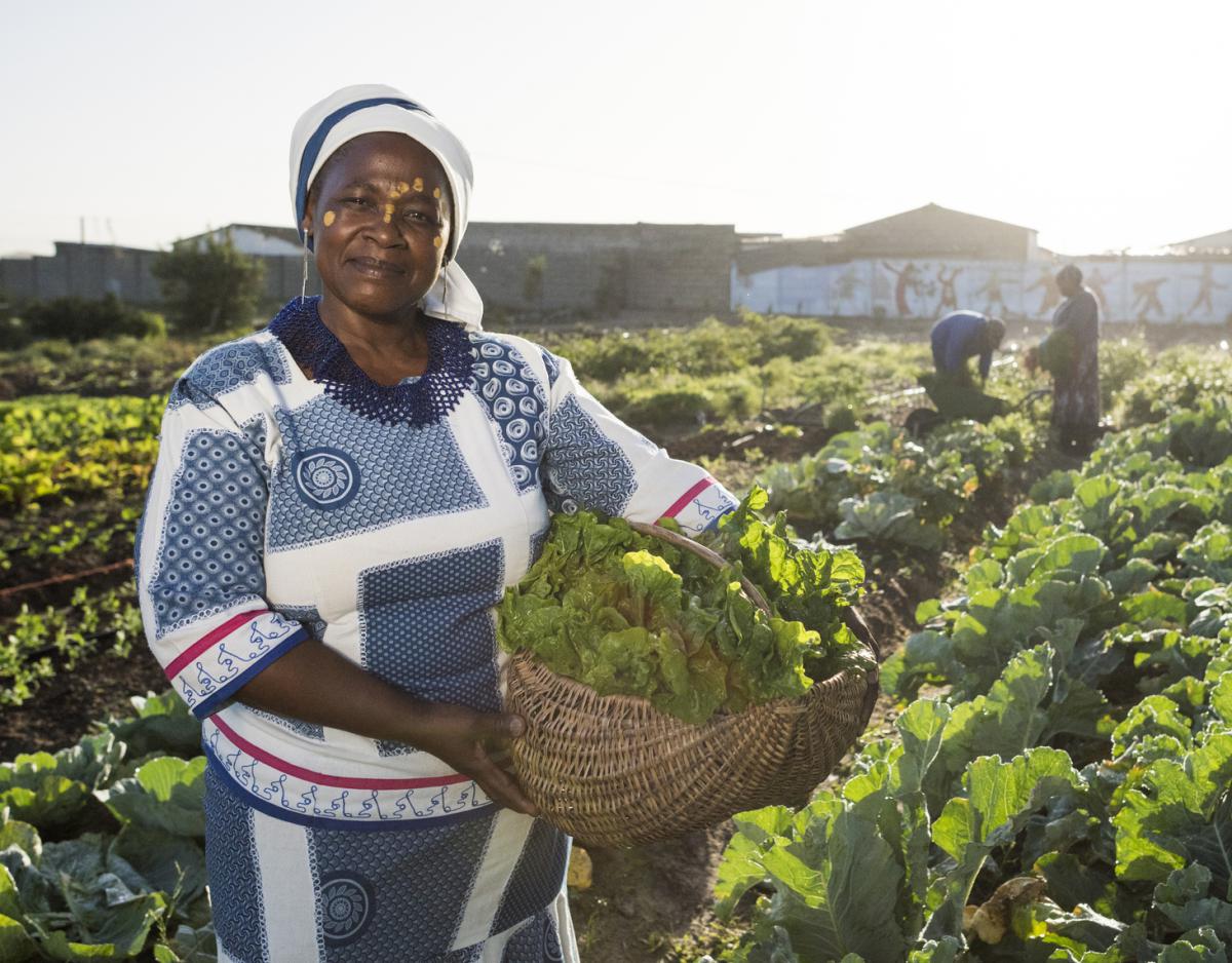 Food security policy group