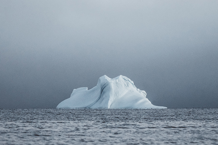 Iceberg