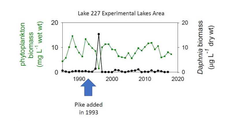 ELA graph adding pike