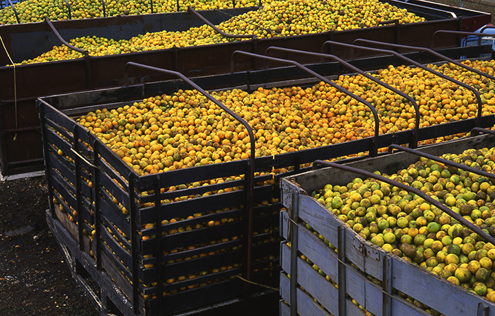 Rural infrastructure food storage